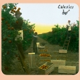 Calexico Spoke Формат: Audio CD (Jewel Case) Дистрибьюторы: Quarterstick Records, Концерн "Группа Союз" Канада Лицензионные товары Характеристики аудионосителей 2010 г Альбом: Импортное издание